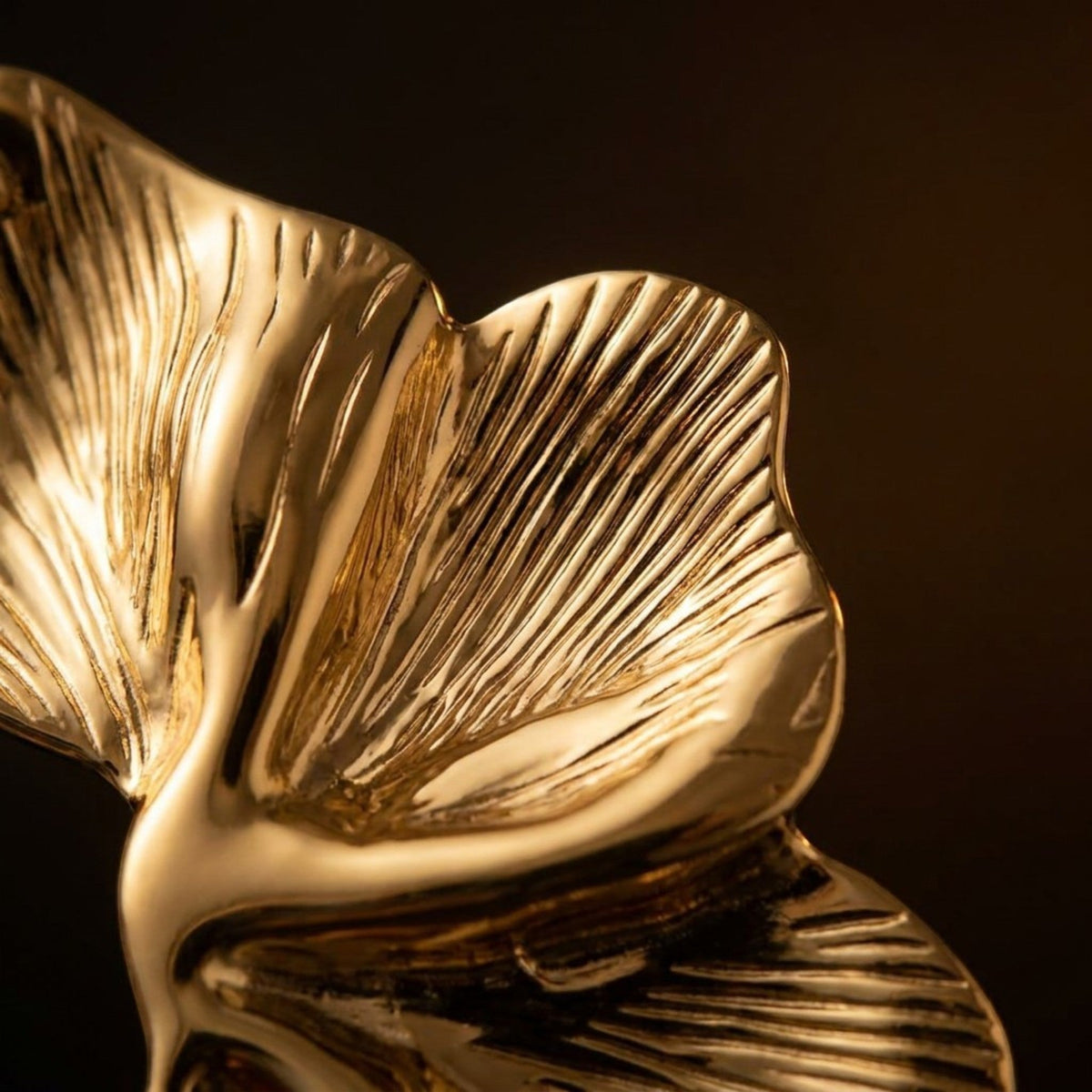 Tania Claire Australia Dryas Crest earrings featuring a sculptural, high-sheen gold leaf design with ribbed texture.
