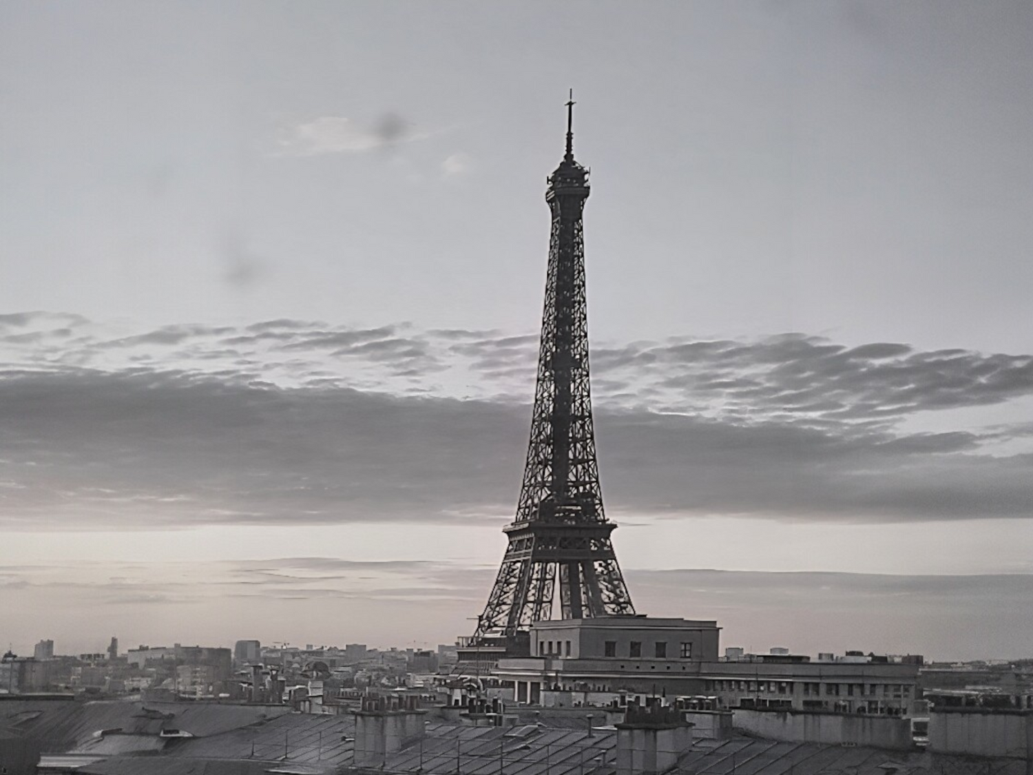 Paris Capsule Collection