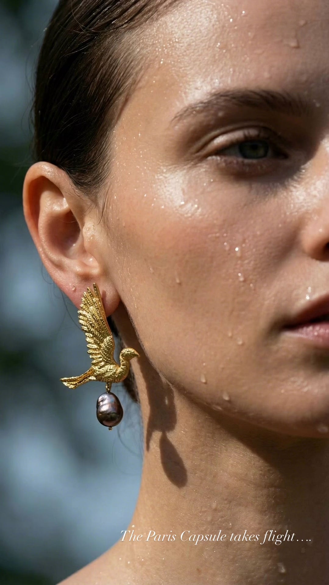 Nocturne Wing Earrings