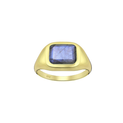 Tania Claire Australia gold-tone signet ring with rectangular labradorite gemstone. Modern sculptural design.