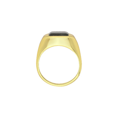 Tania Claire Australia gold signet ring with a rectangular labradorite gemstone.