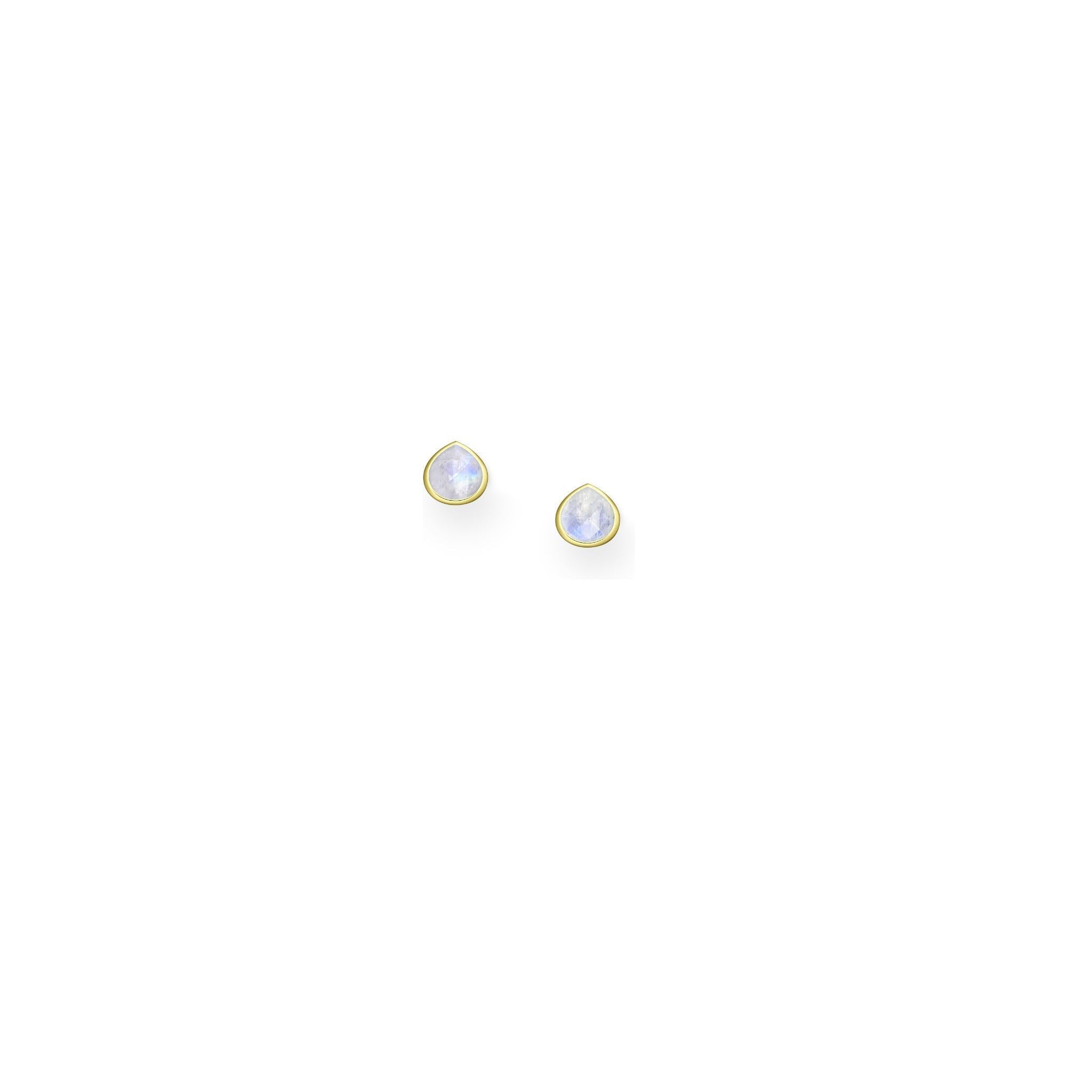 Raine Drops