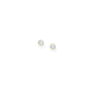 Raine Drops